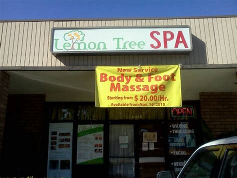 Lemon tree spa - The phone number for Lemon Tree Spa is (416) 321-8890. Where is Lemon Tree Spa located? Lemon Tree Spa is located at 3380 Midland Ave unit #10, Scarborough, ON M1V 5B5, Canada